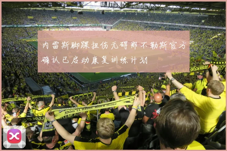 内雷斯脚踝扭伤无碍那不勒斯官方确认已启动康复训练计划