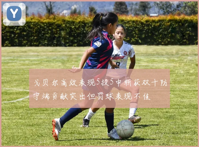 戈贝尔高效表现5投5中斩获双十防守端贡献突出但罚球表现不佳