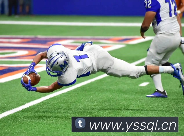 App Interface Preview