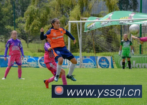 天博集团appAPP 封面图